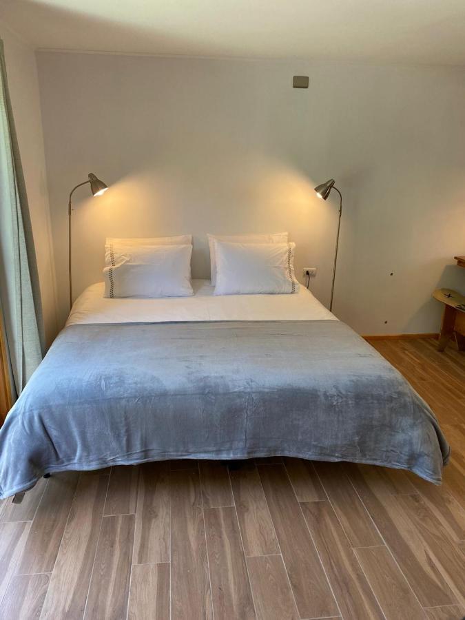French Andes Apart Hostel ปูกอน ภายนอก รูปภาพ